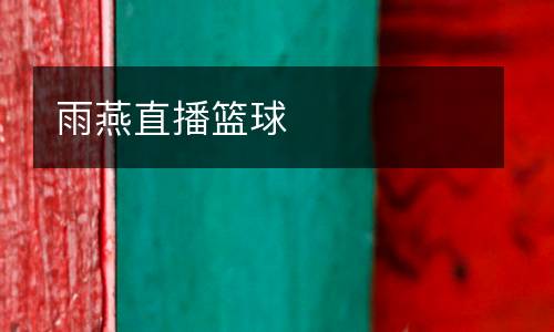 雨燕直播籃球