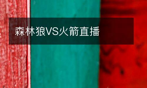 森林狼VS火箭直播