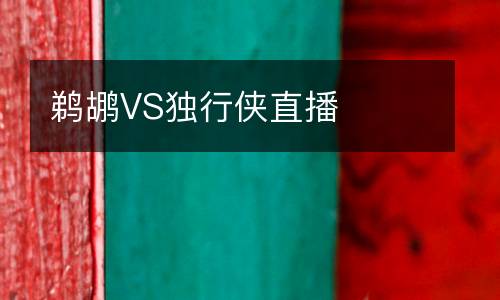 鵜鶘VS獨行俠直播