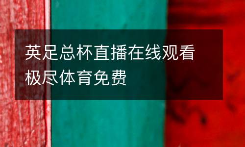 英足總杯直播在線(xiàn)觀(guān)看極盡體育免費(fèi)