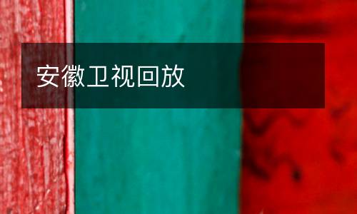 安徽衛(wèi)視回放